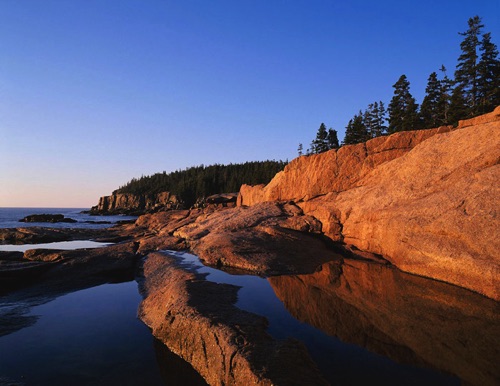 Otter Cliffs at Sunrise, Acadia National Park, MW (MF).jpg